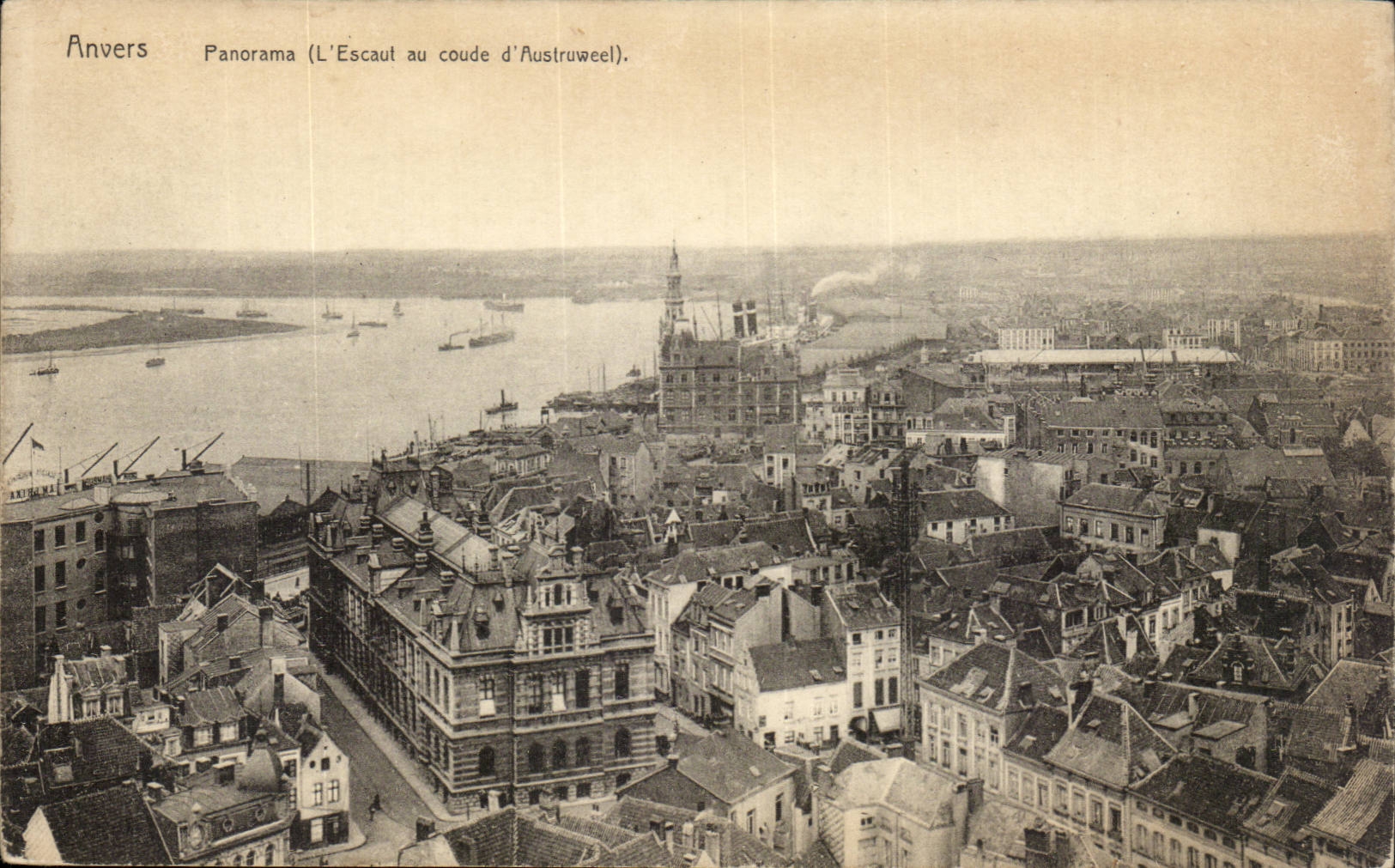 Belgique - Belgien - Belgium - Anvers - Antwerpen - Panorama - L'Escaul au coude - CPA 