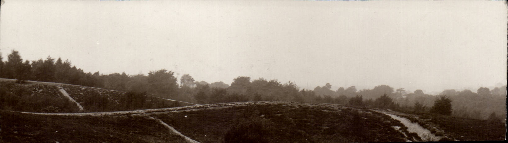 Paysage de collines boisées — photographie — C.H. Prick & Landscape Photographer
