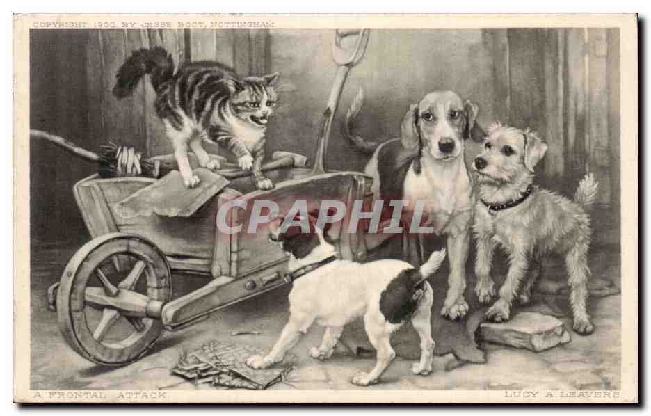 CPA Chiens et chats (cats and dogs chat chien dog cat katze)