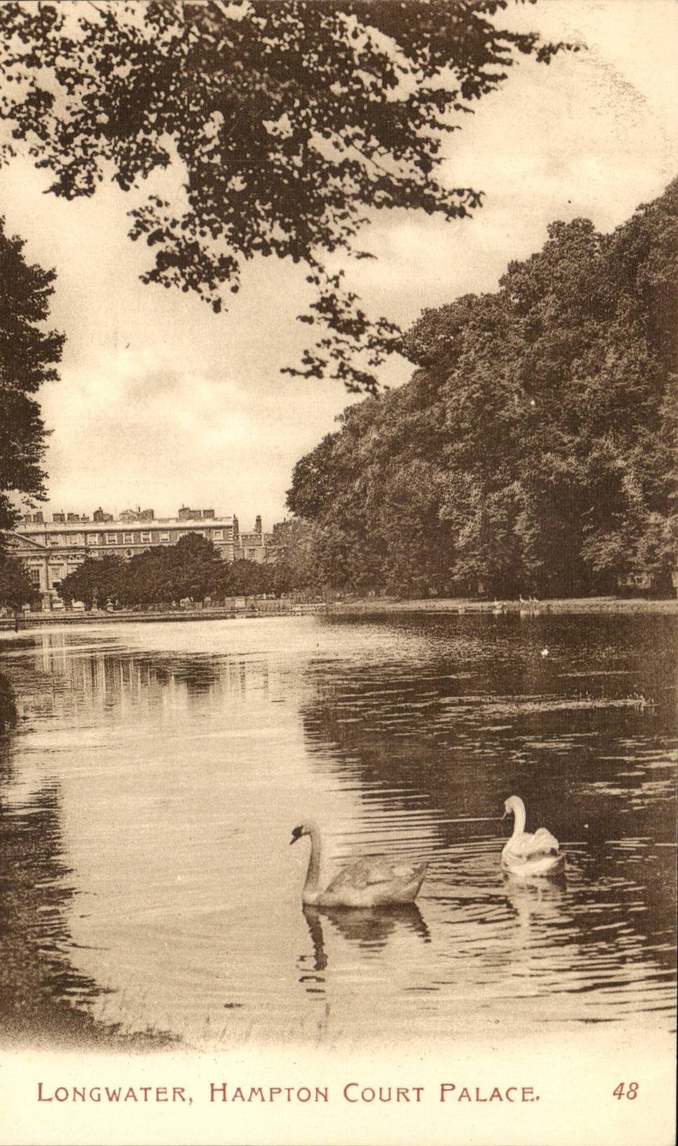 Grande Bretagne Great Britain CPA Longwater Hampton Court palace (cygnes swan)