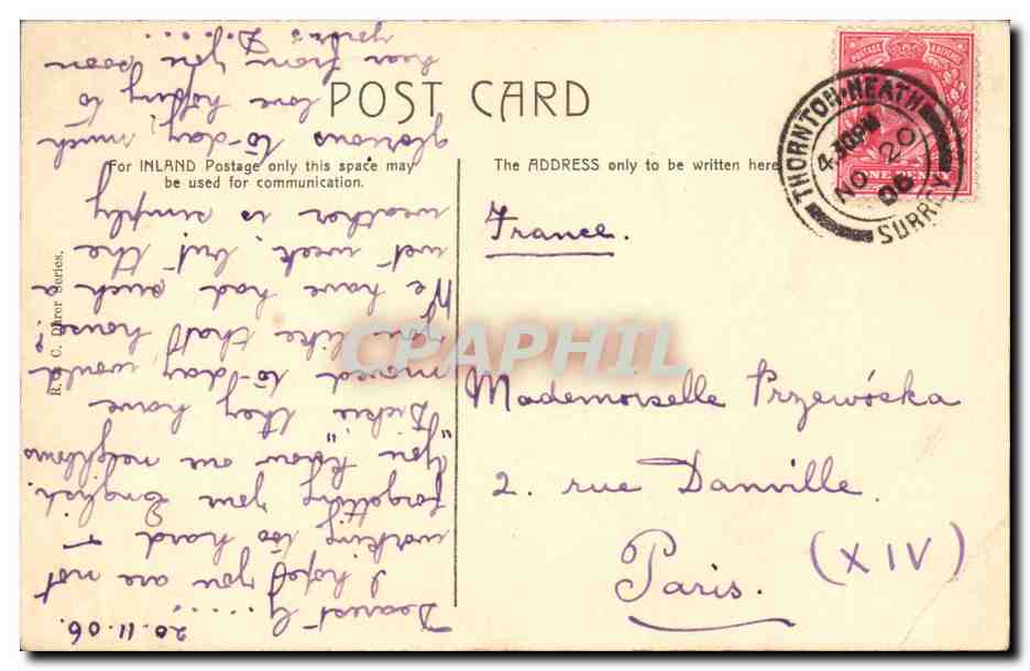 Grande Bretagne CPA Croydon Groham Hurst arbre tree) — Back