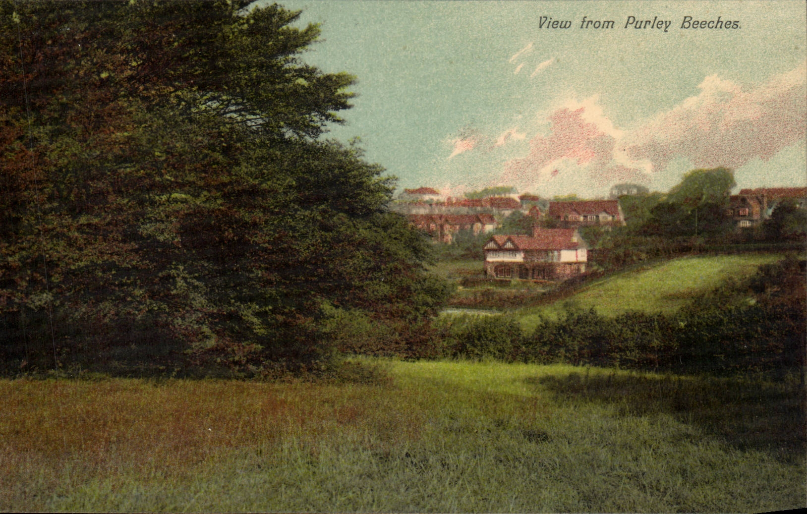 Grande Bretagne Great BRitain CPA View from Purley Beeches