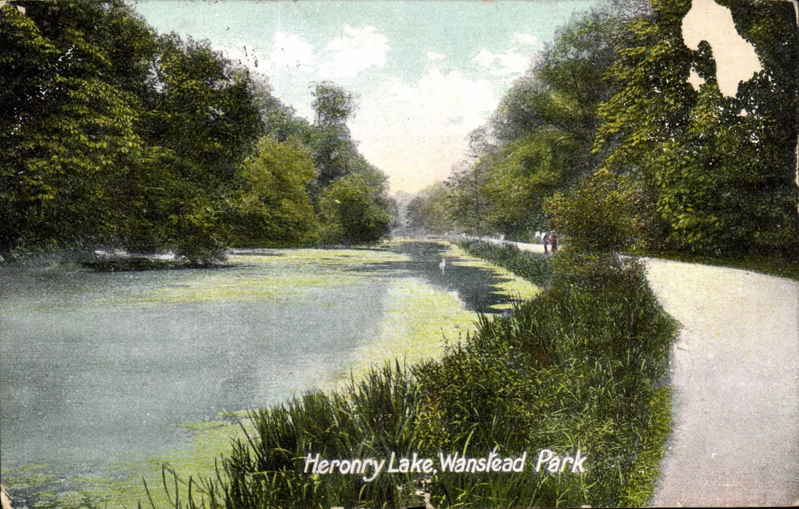 Grande Bretagne Great BRitain CPA Heronry lake Wanstead park
