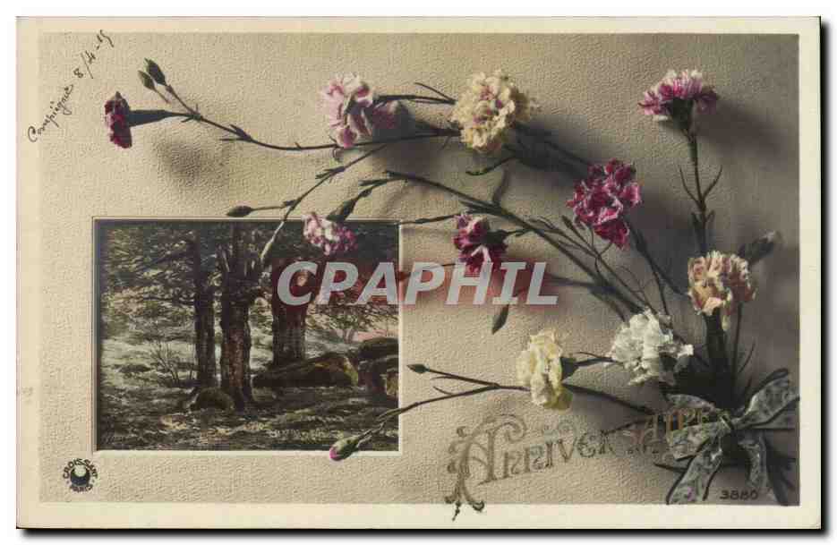Fantaisie - Fete - Anniversaire - 1915 - Fleurs - Carnation - CPA 