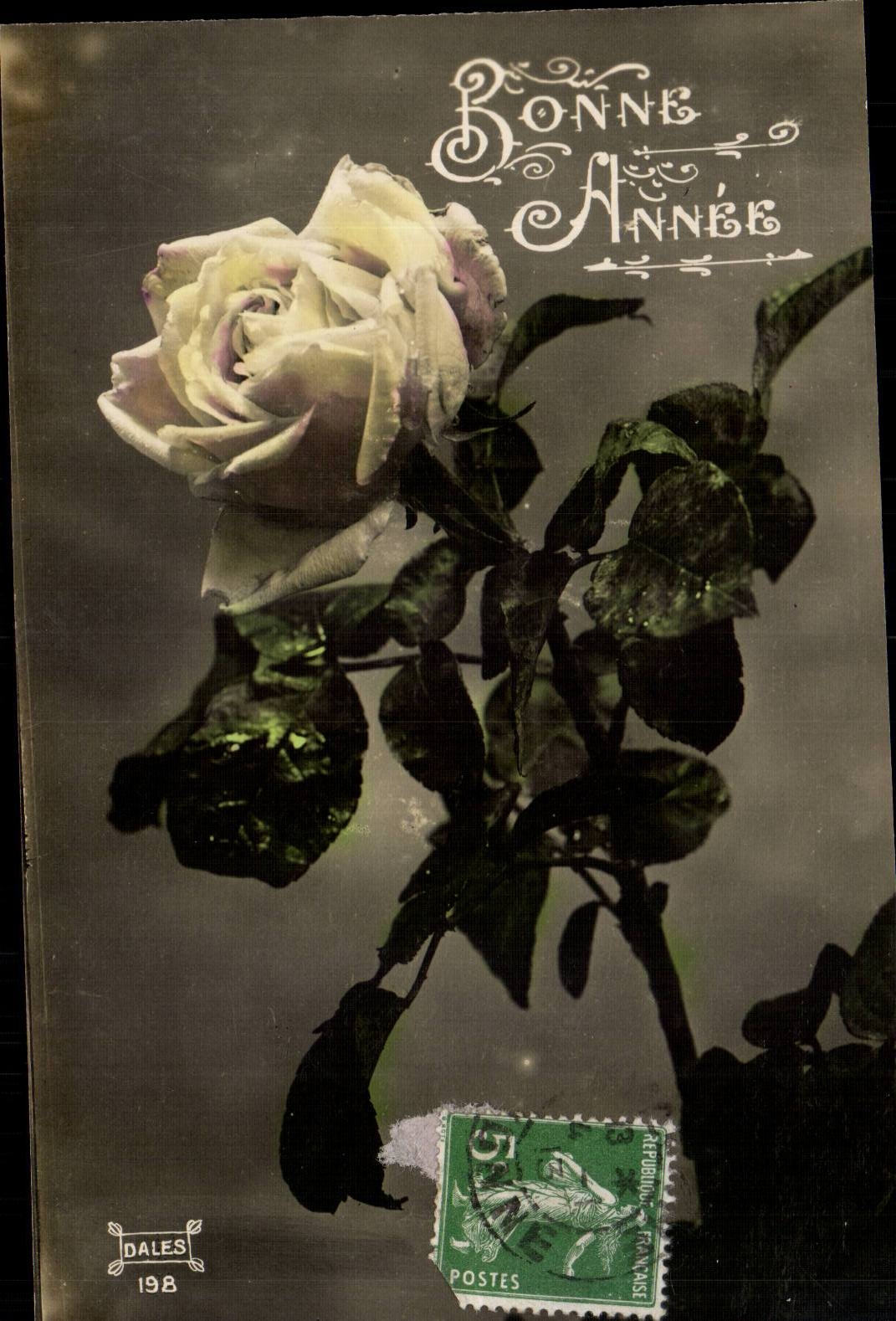 Fantaisie - Bonne Annee - Rose - CPA 