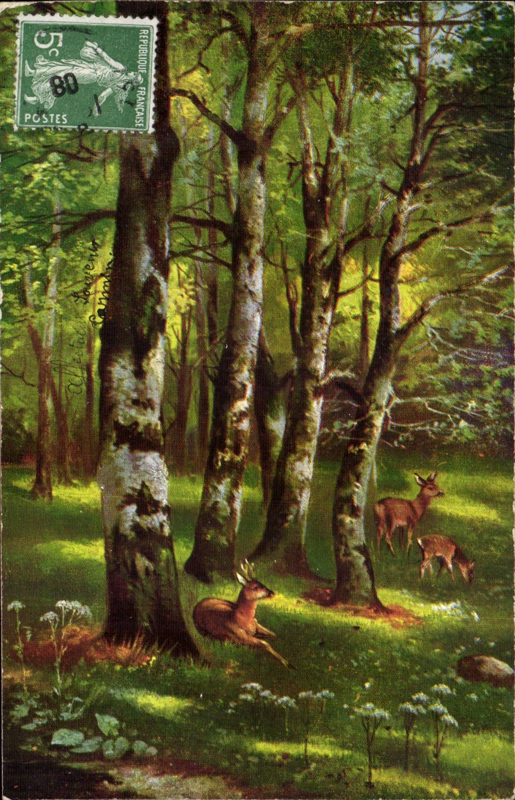 Animaux - Biche - deer - faon - daim - Scene Pittoresque - - CPA 
