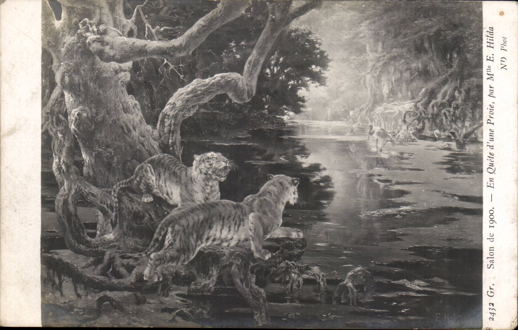 Animaux - Tigre - Tiger - Salon de 1900 En Quete d'une Proie par M E Hilda - CPA 