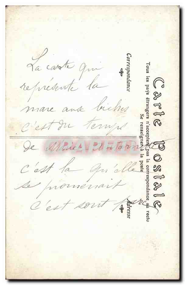 Animaux - Tigre - Tiger - Salon de 1900 En Quete d'une Proie par M E Hilda - CPA  — Rückseite