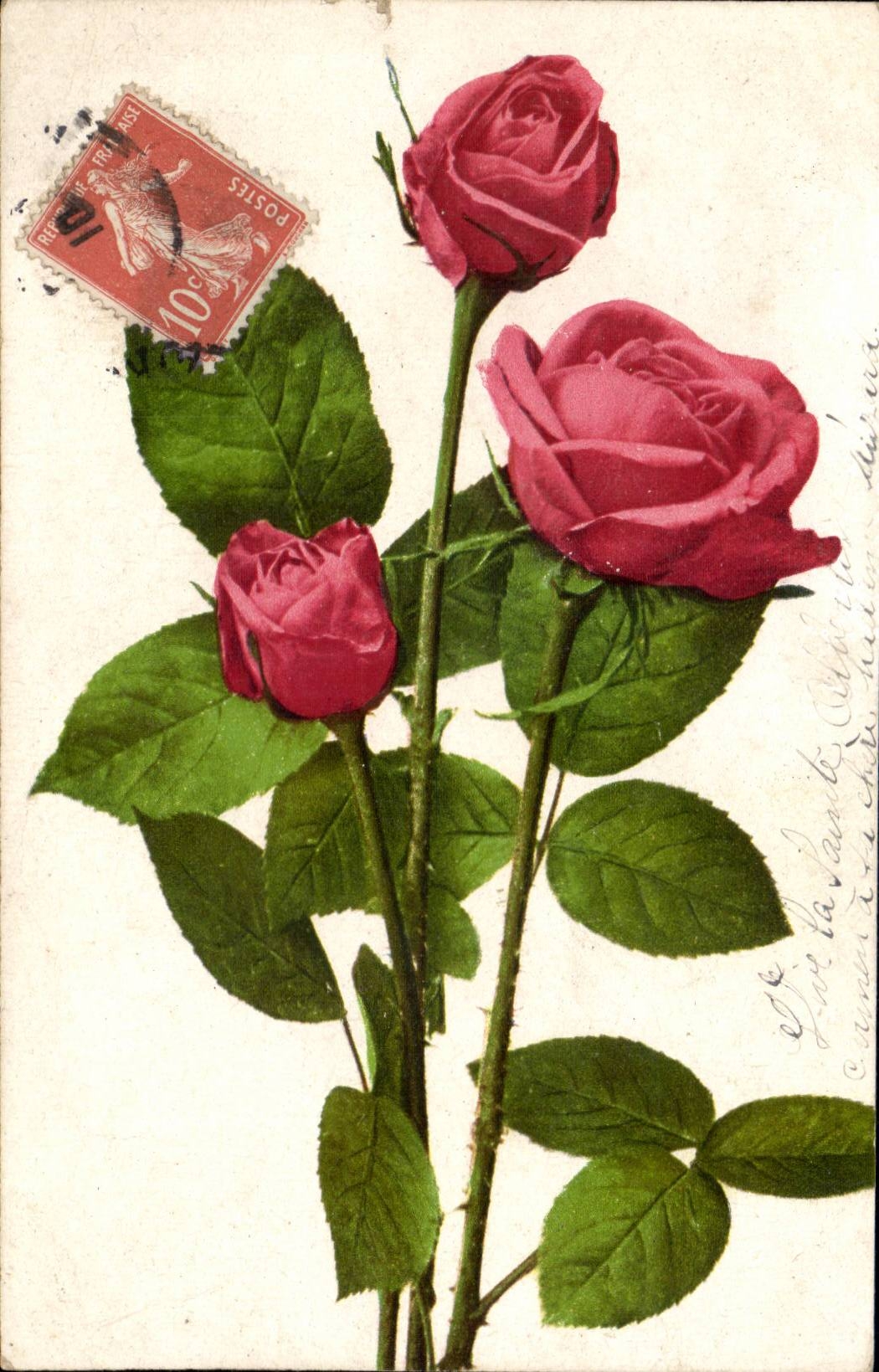 Fantaisie - Fleurs - Rose - CPA 