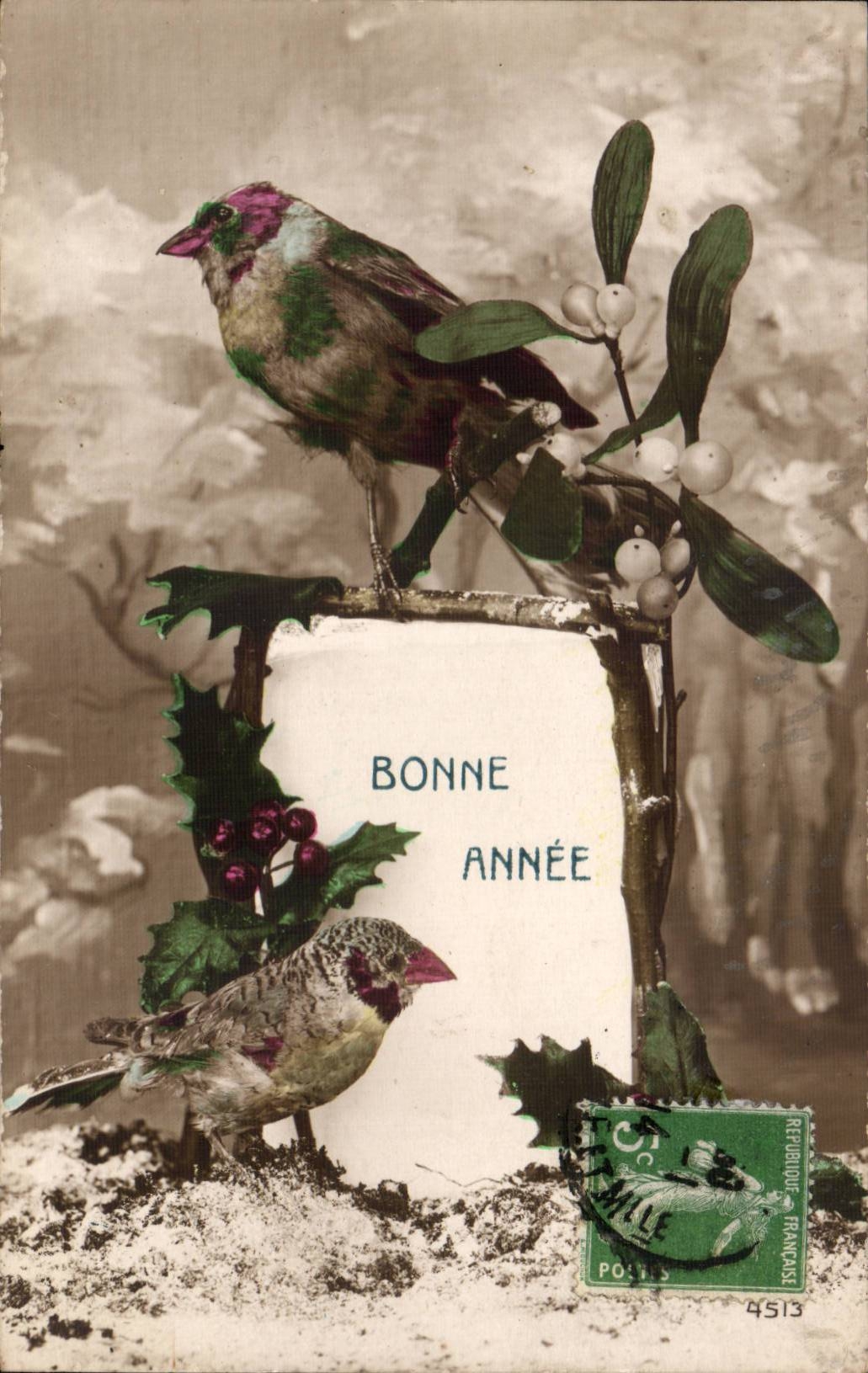 Animaux - Oiseaux - Houx - Holly - Bonne Annee CPA 
