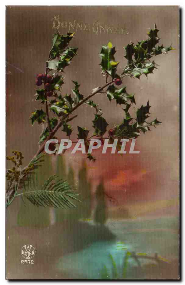 Fantaisie - Bonne Annee - Holly - CPA 