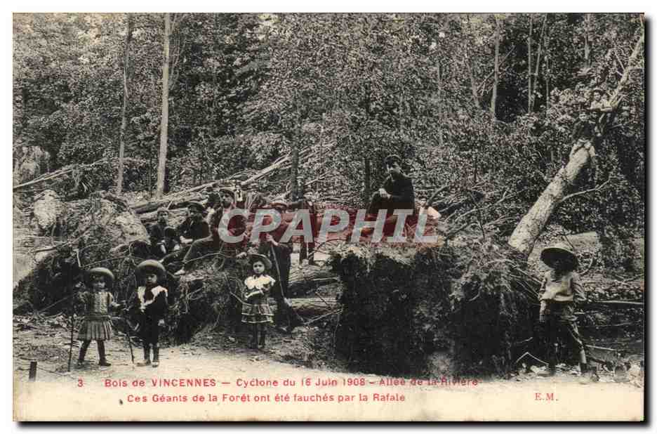 Bois de Vincennes — Cyclone du 16 Juin 1908 — Allée de la Rivière — E.M.