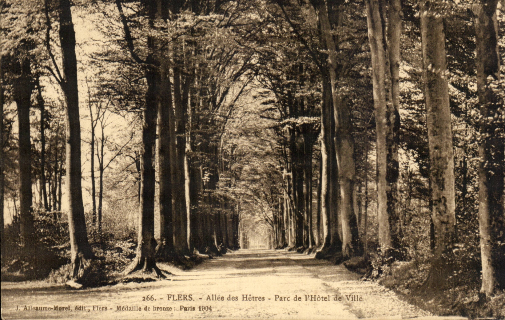 Flers - Alee au Hetres - Parc de Hotel de Ville - CPA 