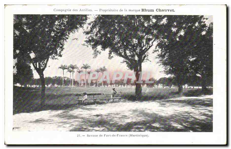 Savane di Fort-de-France (Martinica) — Compagnie des Antilles — Propriétaire della marca Rhum Chauvet — n°21