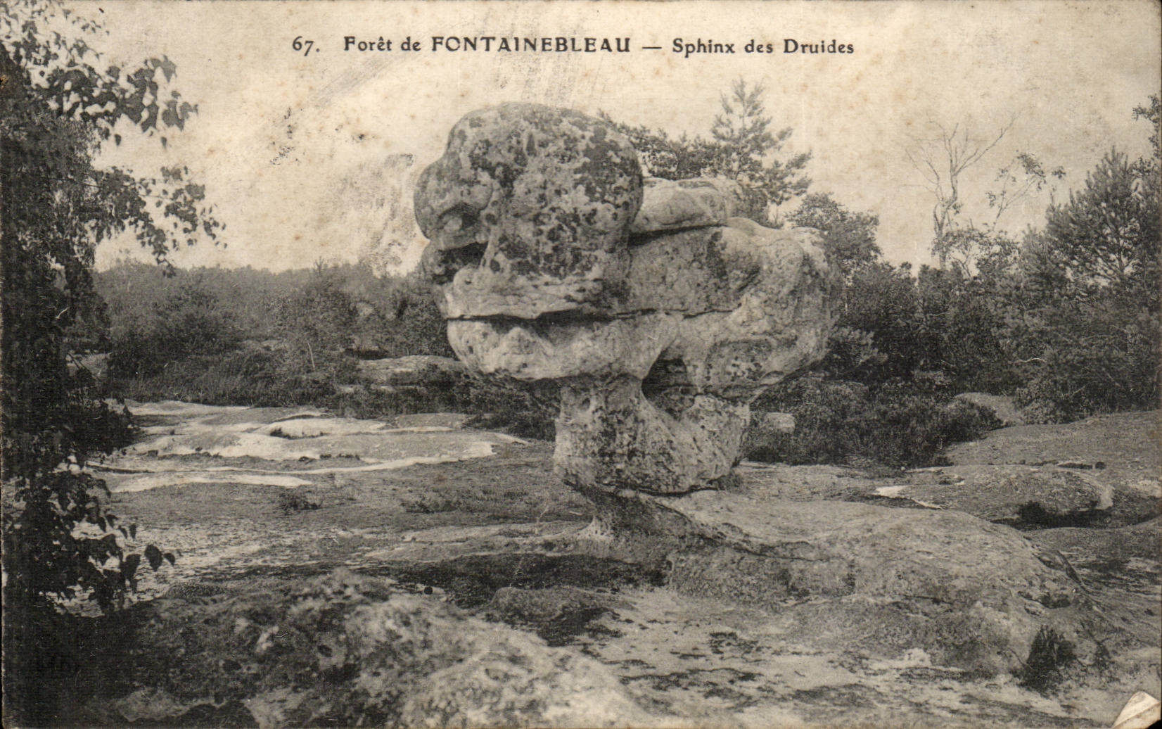 Wald von FONTAINEBLEAU — Sphinx der Druiden