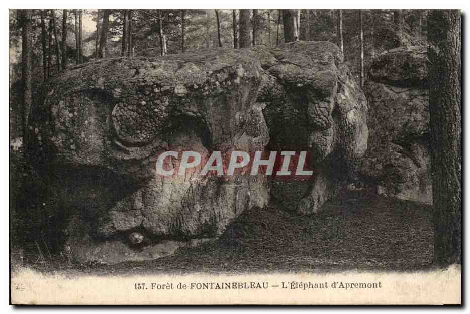 Wald von Fontainebleau — Das Elefant von Apremont — Verlag: Nr. 157