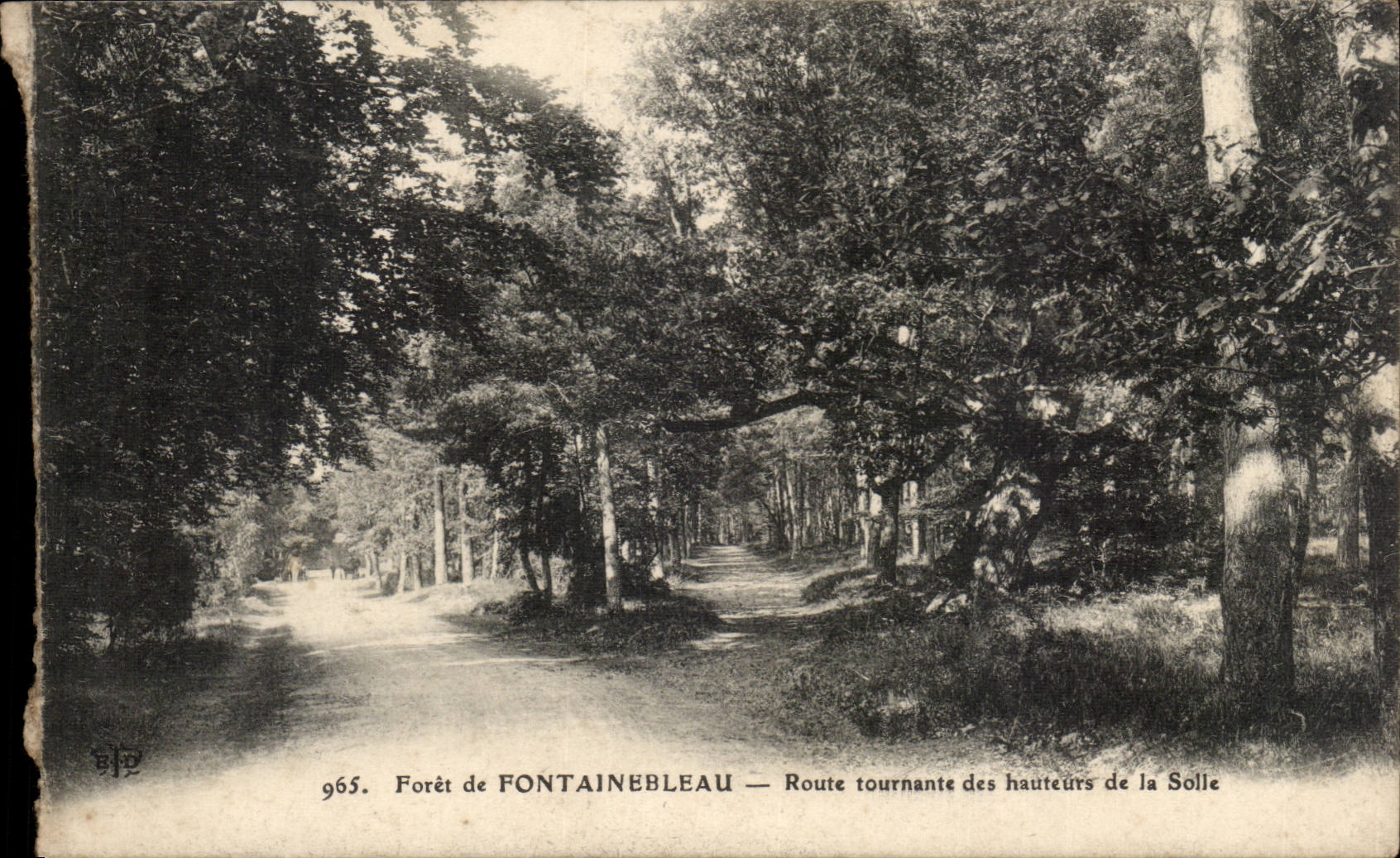 Forêt de FONTAINEBLEAU — Route tournante des hauteurs de la Solle