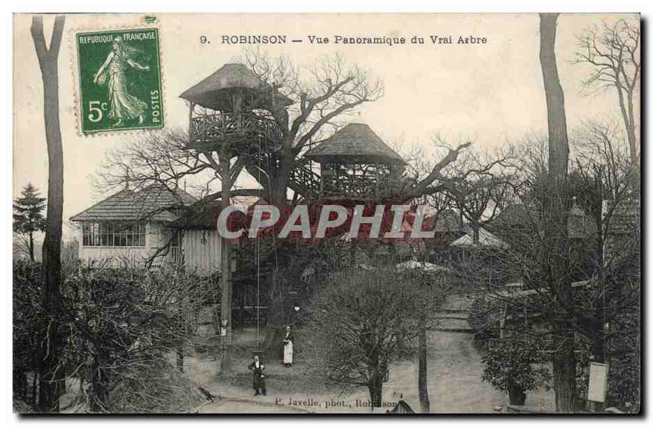 Robinson CPA Vue panoramique du vrai arbre
