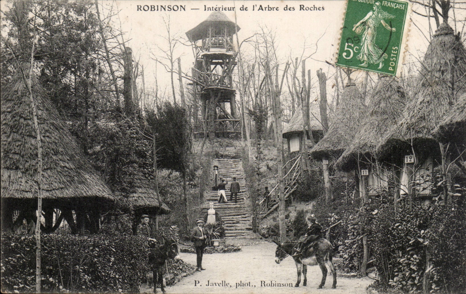 Robinson CPA Interieur de l'arbre des roches (ane anes donkey donkeys)