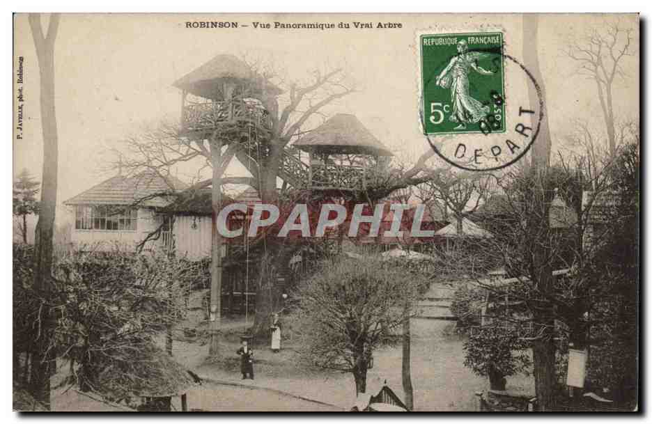 Robinson CPA Vue panoramique du vrai arbre