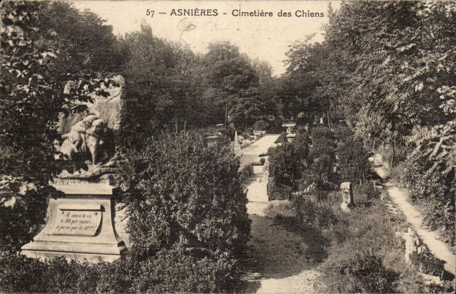 Asnieres CPA Cimetiere des chiens (dog cemetary)