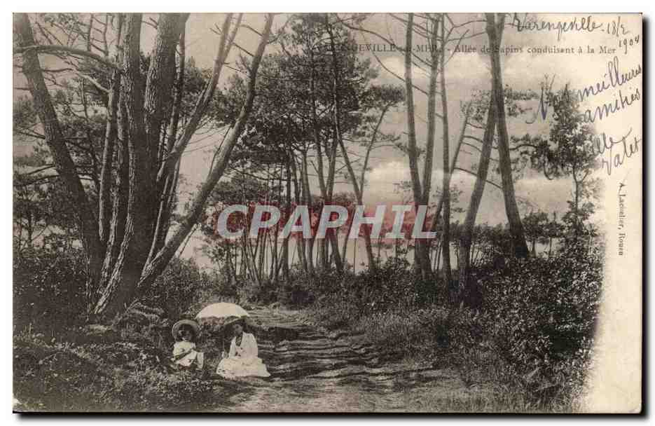 Varengevilles CPA Allee de sapins conduisant a la mer