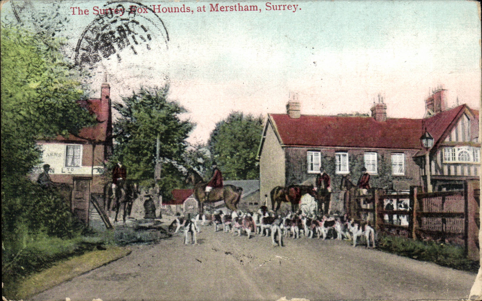 Grande Bretagne GReat BRitain The Surrey Hox hounds at Merstham (chiens dog hunting chasse)