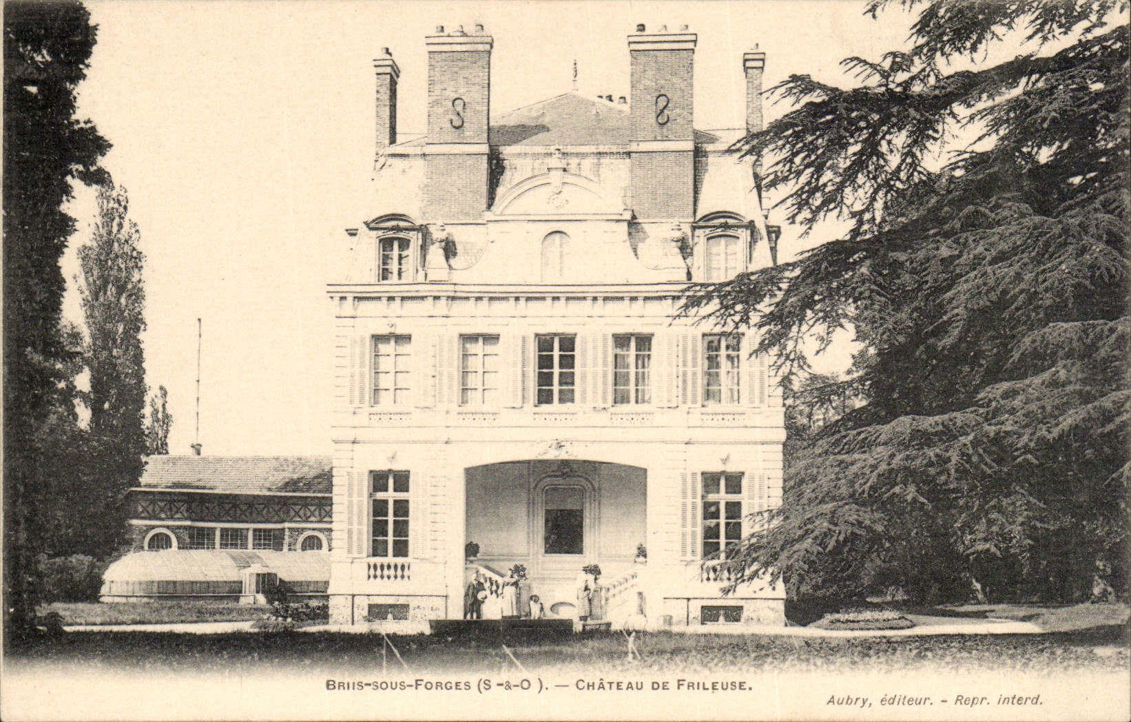 Briis sous Forges CPA Chateau de Frileuse