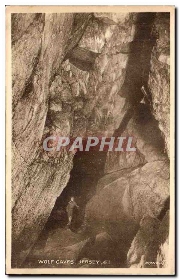 Grande Bretagne Great Britain Jersey CPA Wold caves (loup)