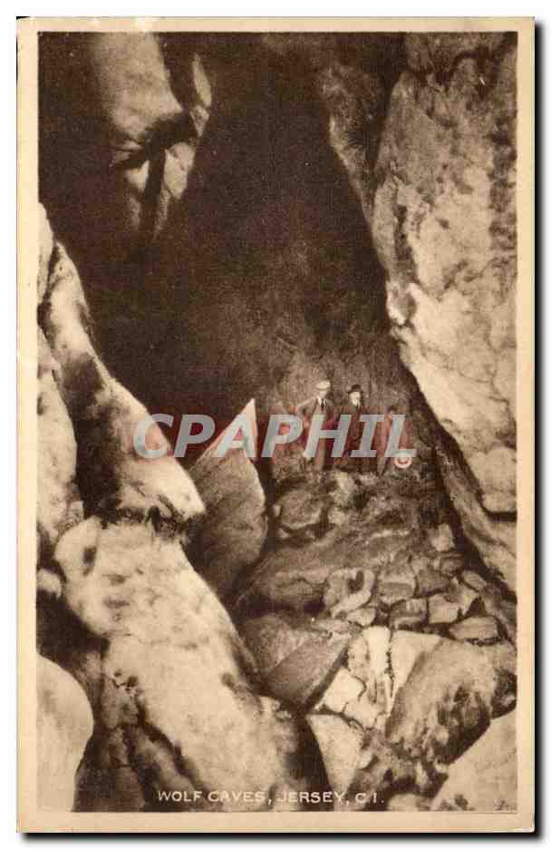 Grande Bretagne Great BRitain CPA Jersey Wolf caves (loup)