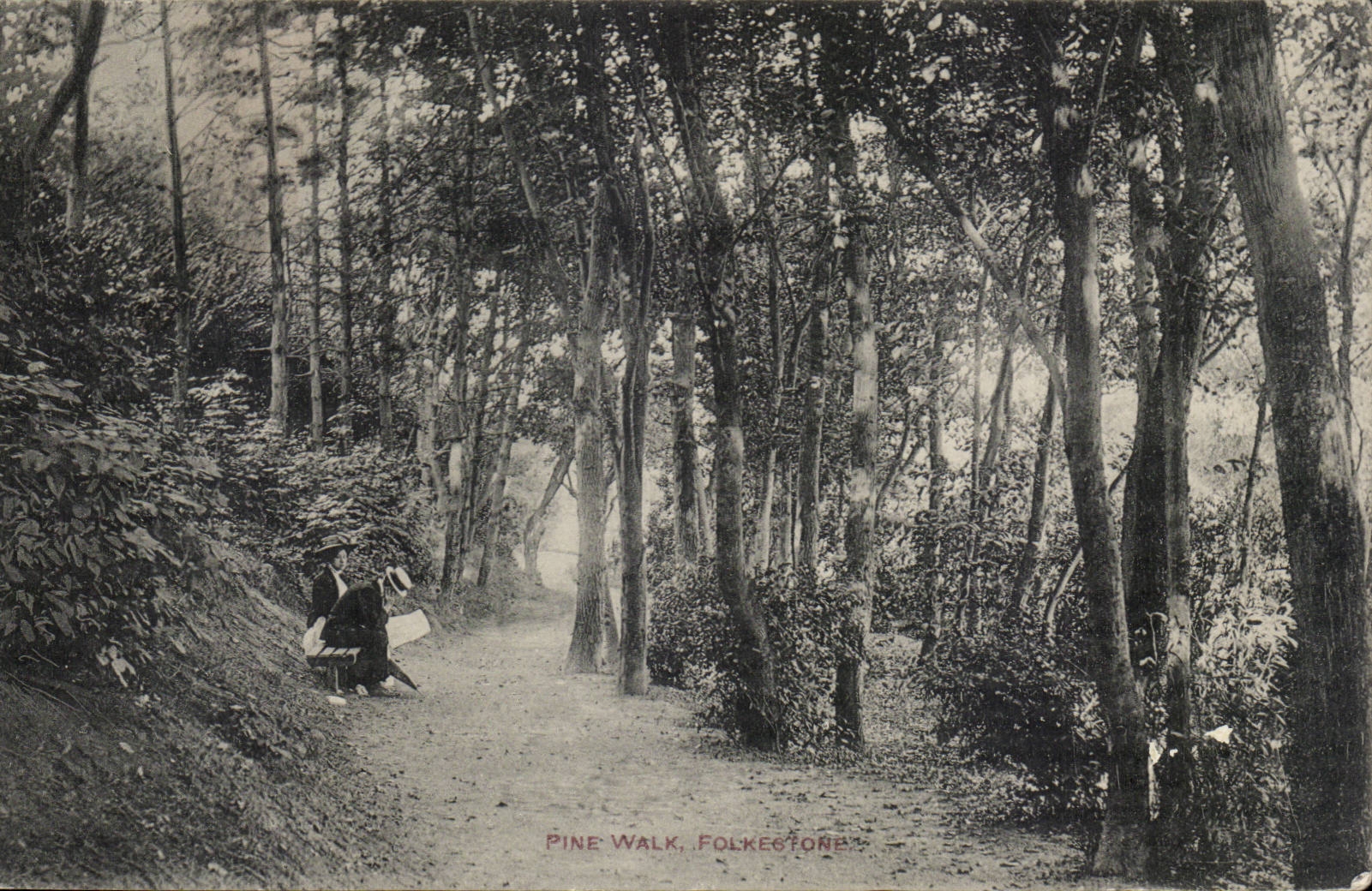 Grande Bretagne Great Britain CPA Pine Walk Folkestone