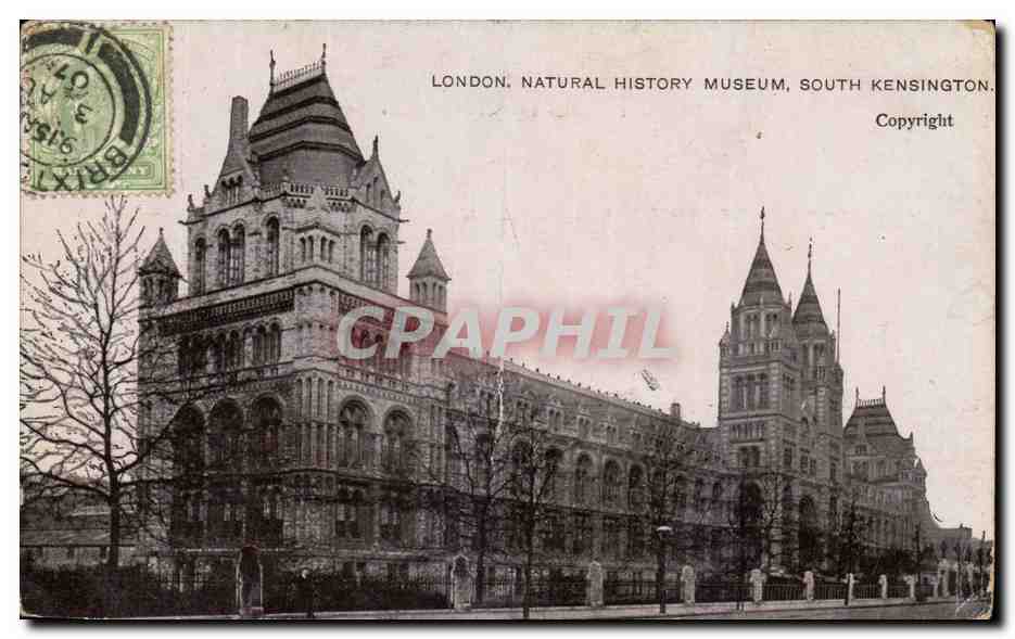 Angleterre - England - London - Londres - Natural History Museum - CPA 
