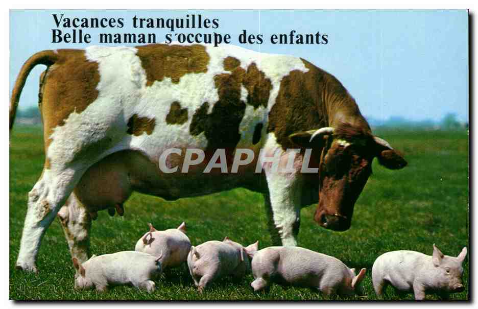 CPM Carte musicale Vacances tranquilles Belle maman s'occupe de ses enfants (vache cochons pigs cow pig)