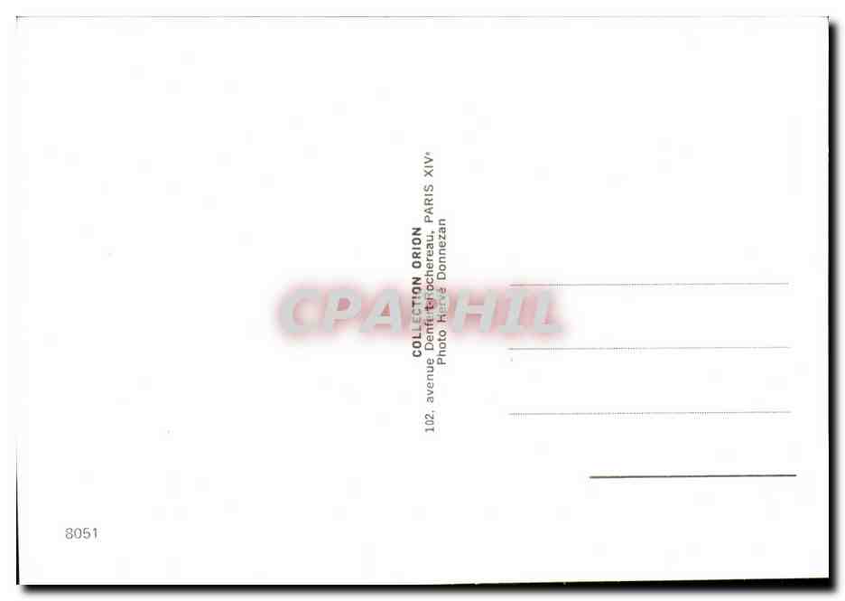 CPM Carte musicale Vacances tranquilles Belle maman s'occupe de ses enfants (vache cochons pigs cow pig) — Rückseite