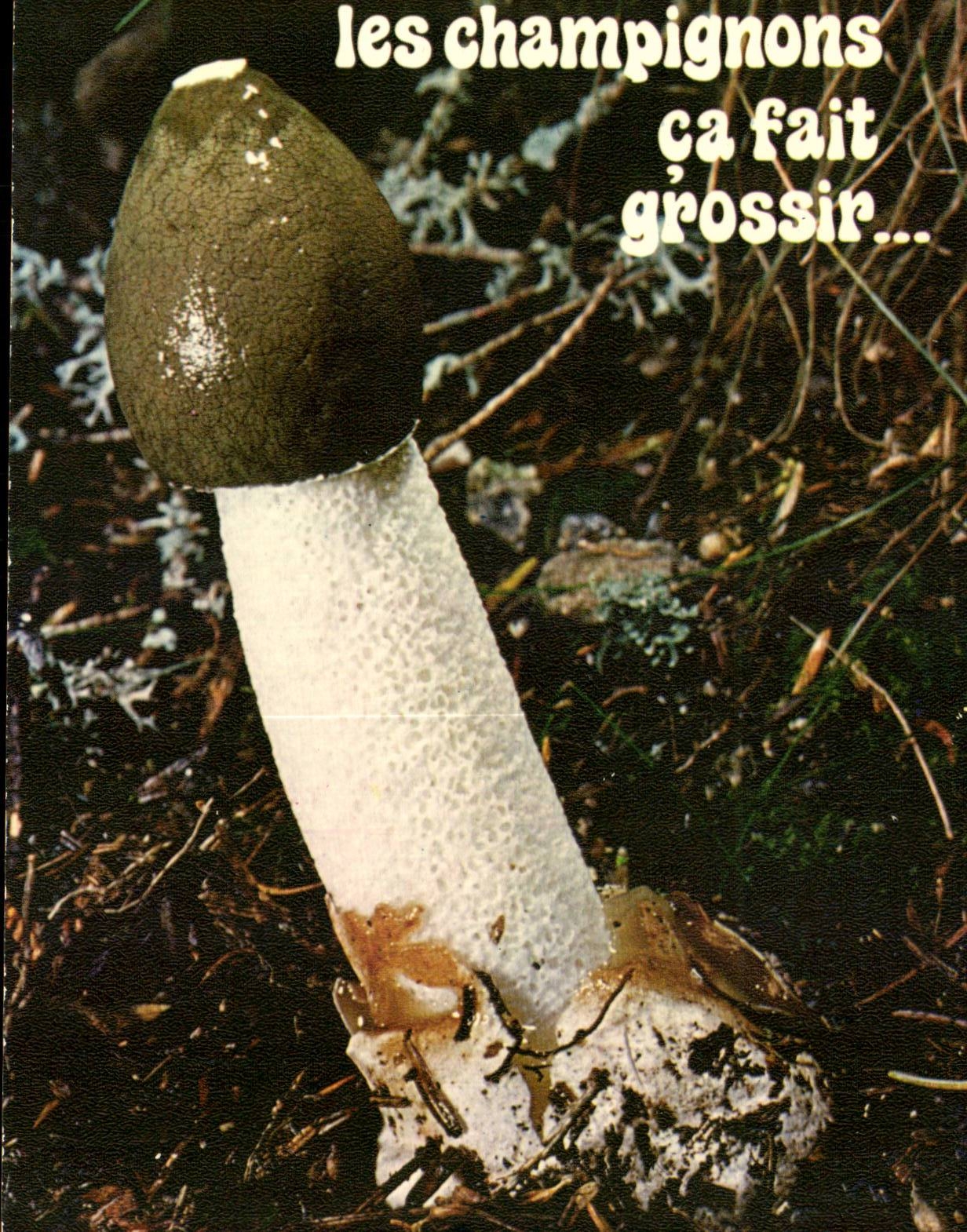 CPM Les champignons ca fait grossir (humour mushroom)
