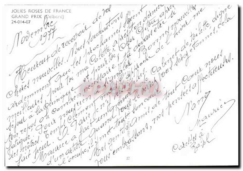 CPM Fantaisie Fleurs Grand prix (Delbard) — Back