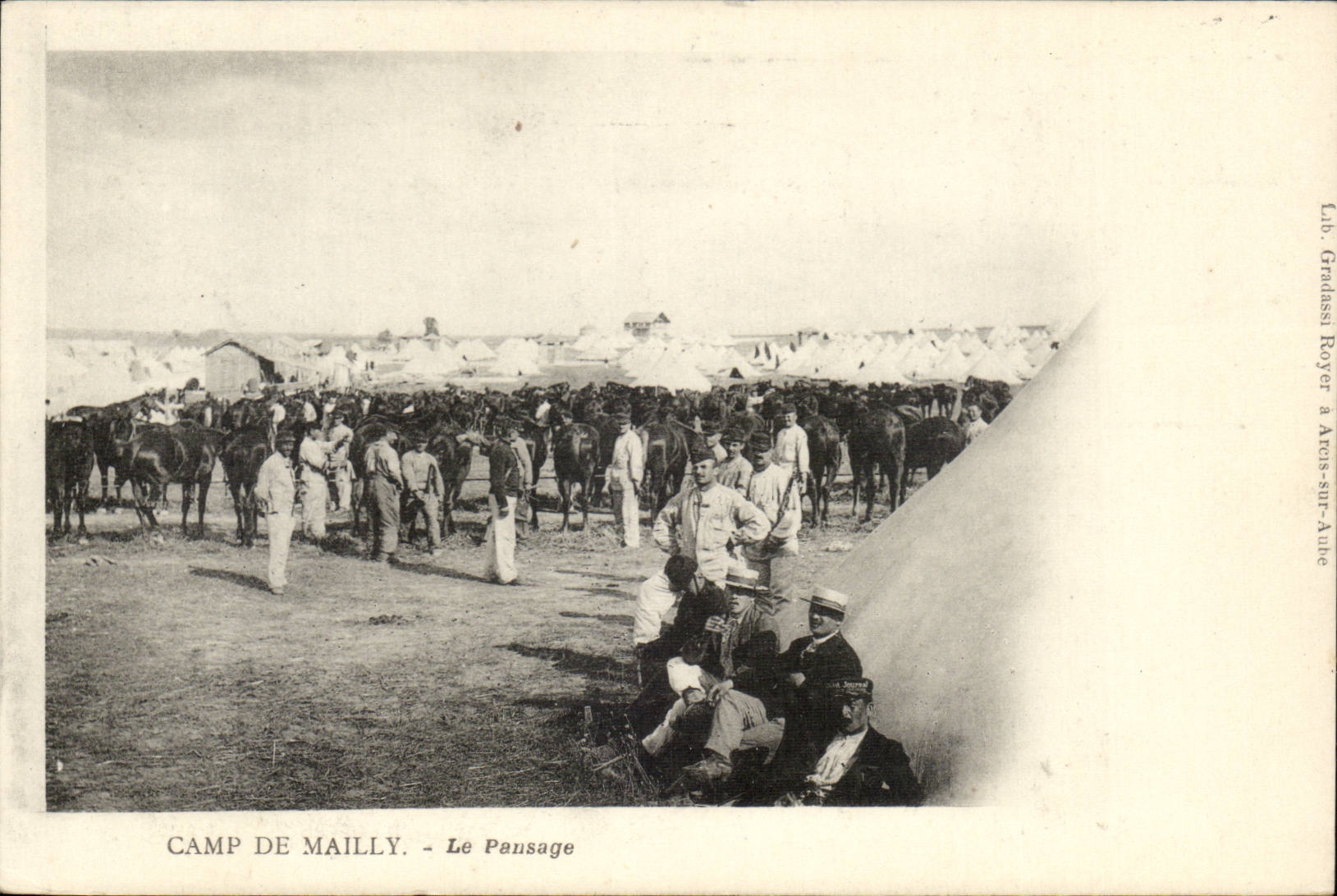 Militaria CAmp de Mailly CPA La pansage (chevaux)