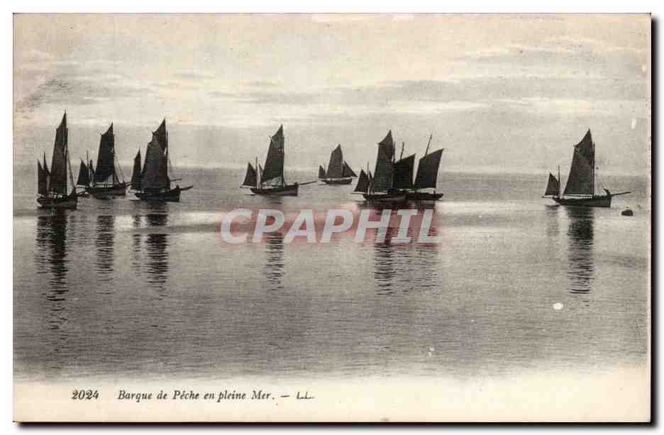 CPA Bateau Boat Barques de peche en pleine mer