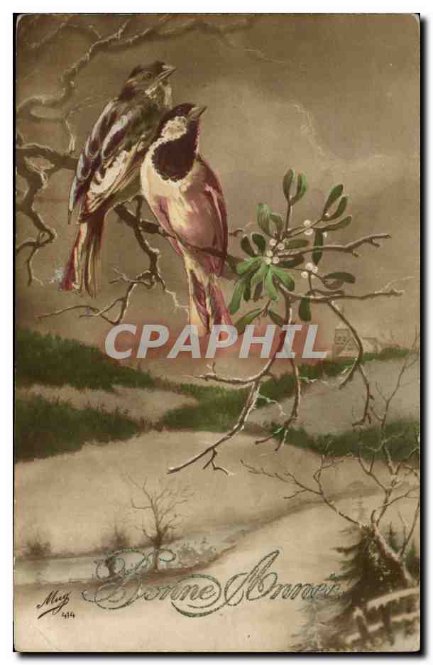 CPA FAntaisie Oiseaux Bonne annee