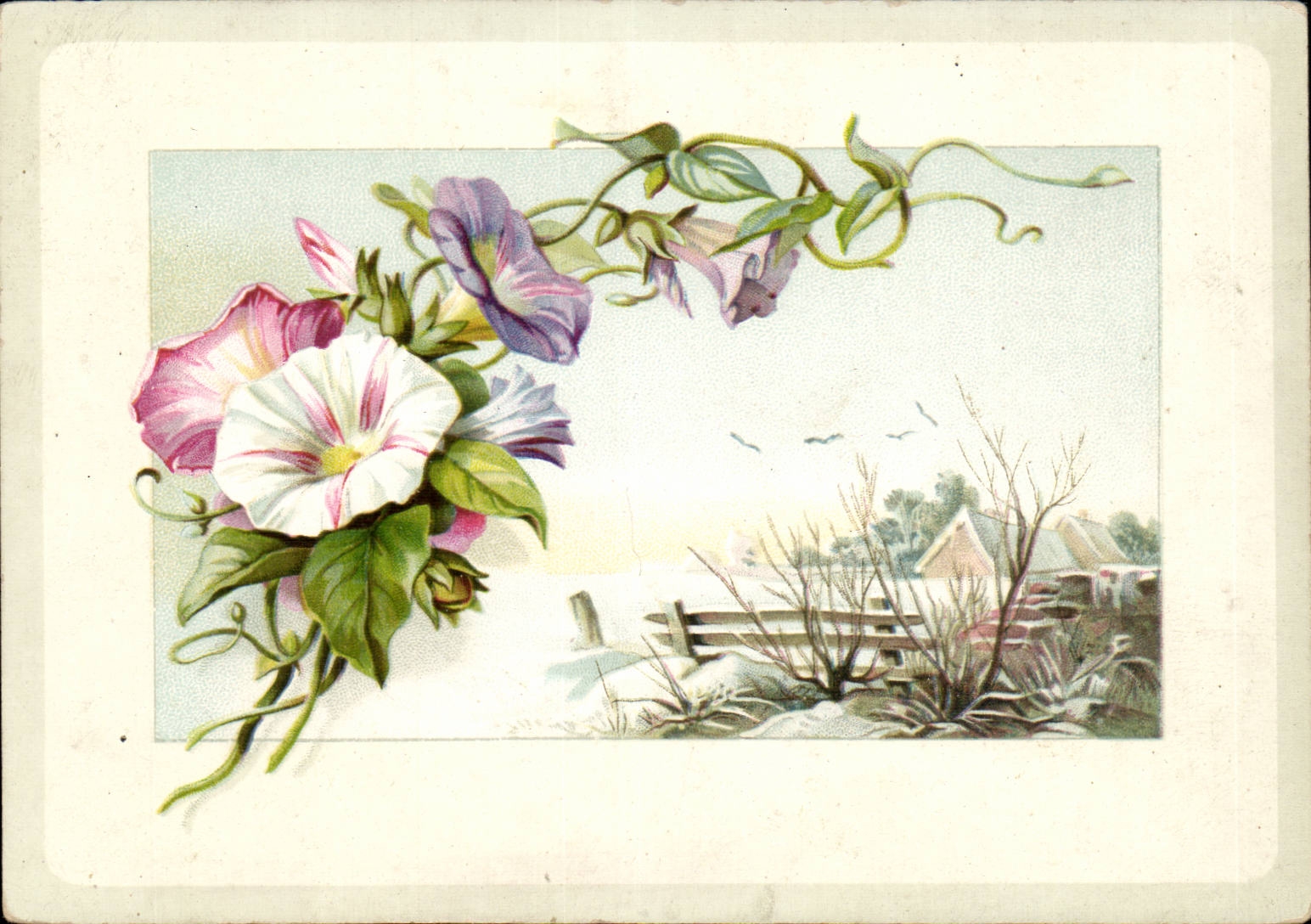 CPA FAntaisie Fleurs