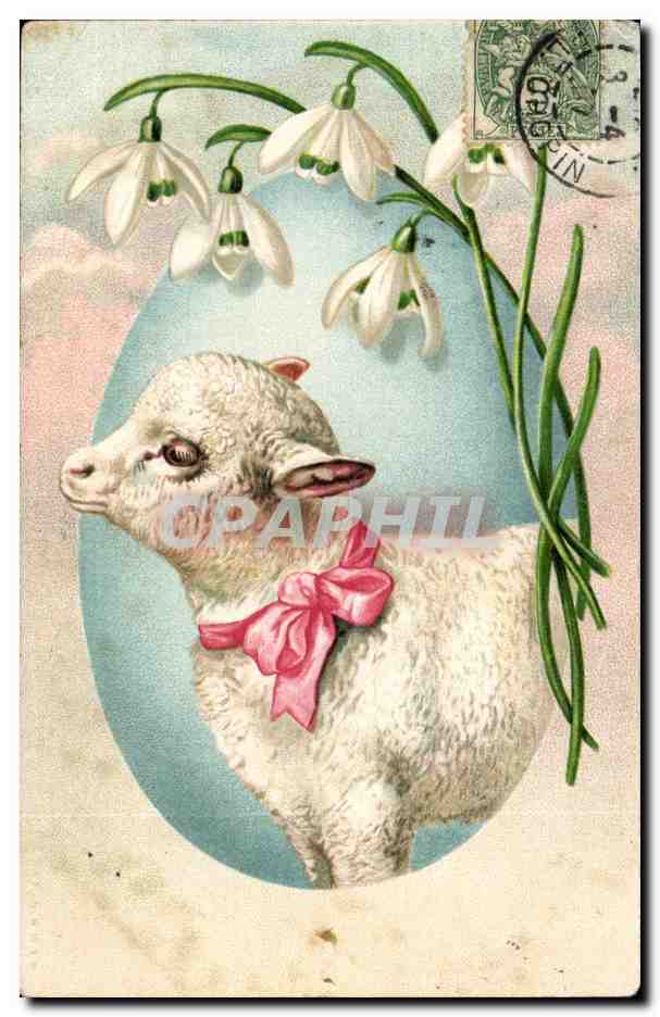 CPA Fantaisie Fantasy Mouton Sheep