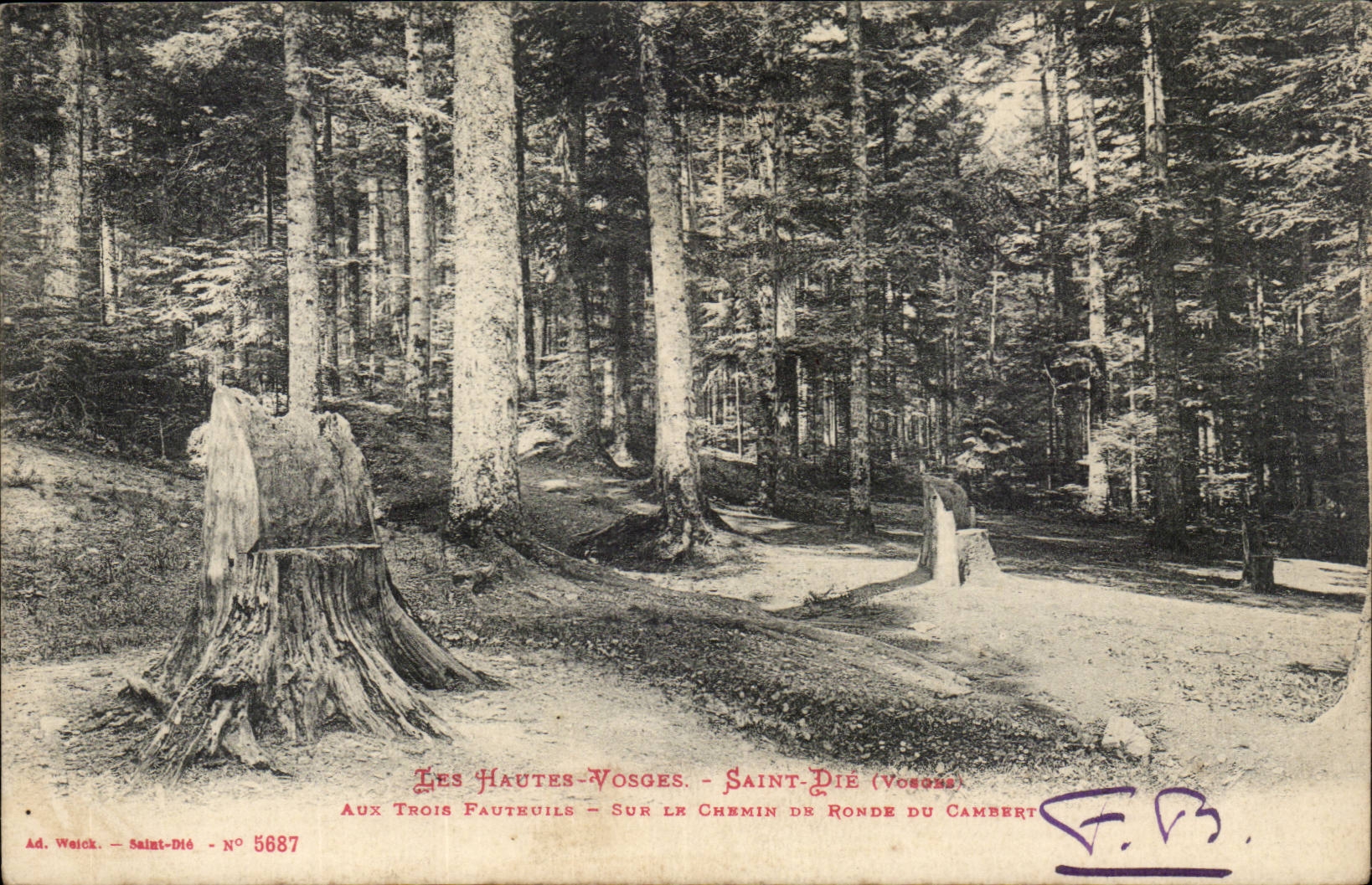 Les Hautes-Vosges - Saint-Dié (Vosges) - Aux Trois Fauteuils - Auf dem Chemin de Ronde du Cambert