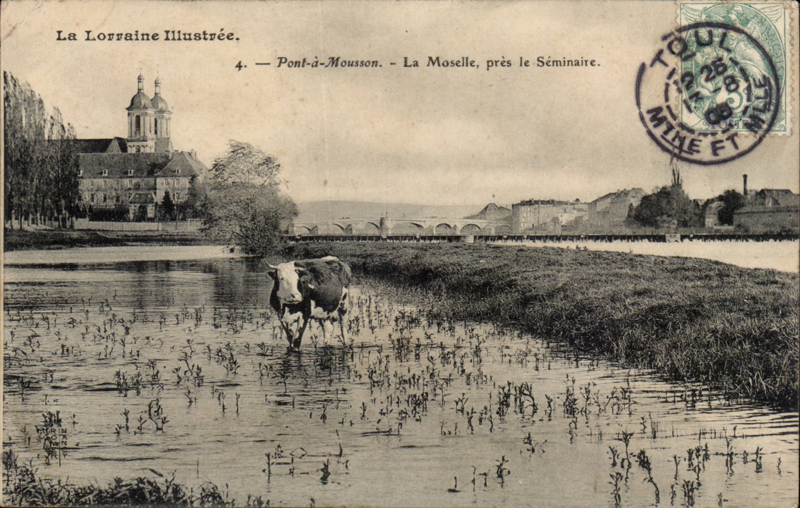 Pont a Mousson - La Moselle pres la Seminaire - Vaches - boeuf - cow - CPA 