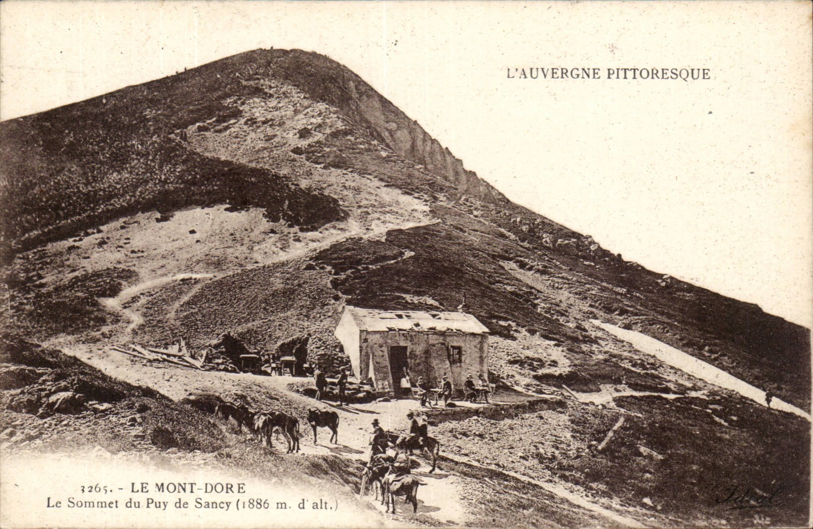 Le mont Dore CPA Le sommet du Puy de SAncy Auvergne (ane donkey mule)