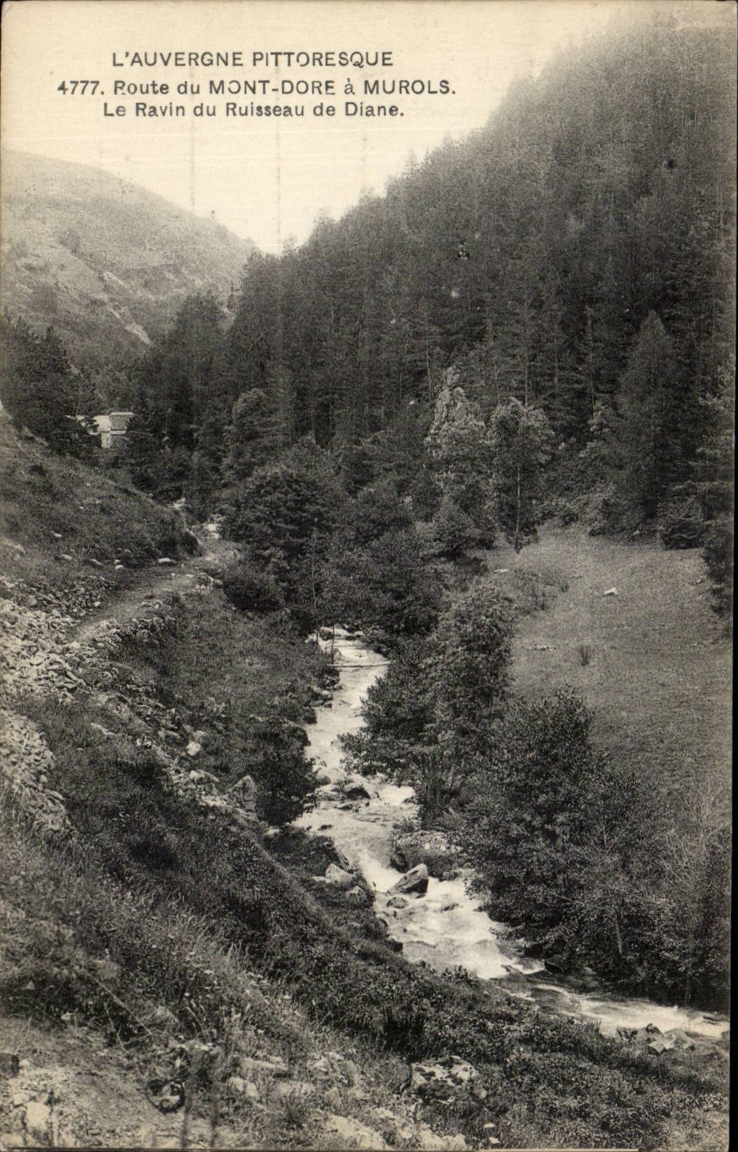Le mont Dore CPA Route du Mont Dore a Murols le ravin du ruisseau de Diane