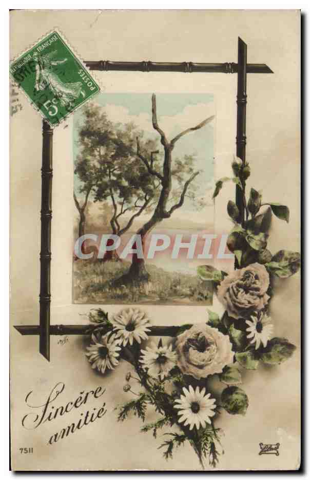 Fantaisie -Fete - Sincere Amitie - arbre fleurs - CPA 
