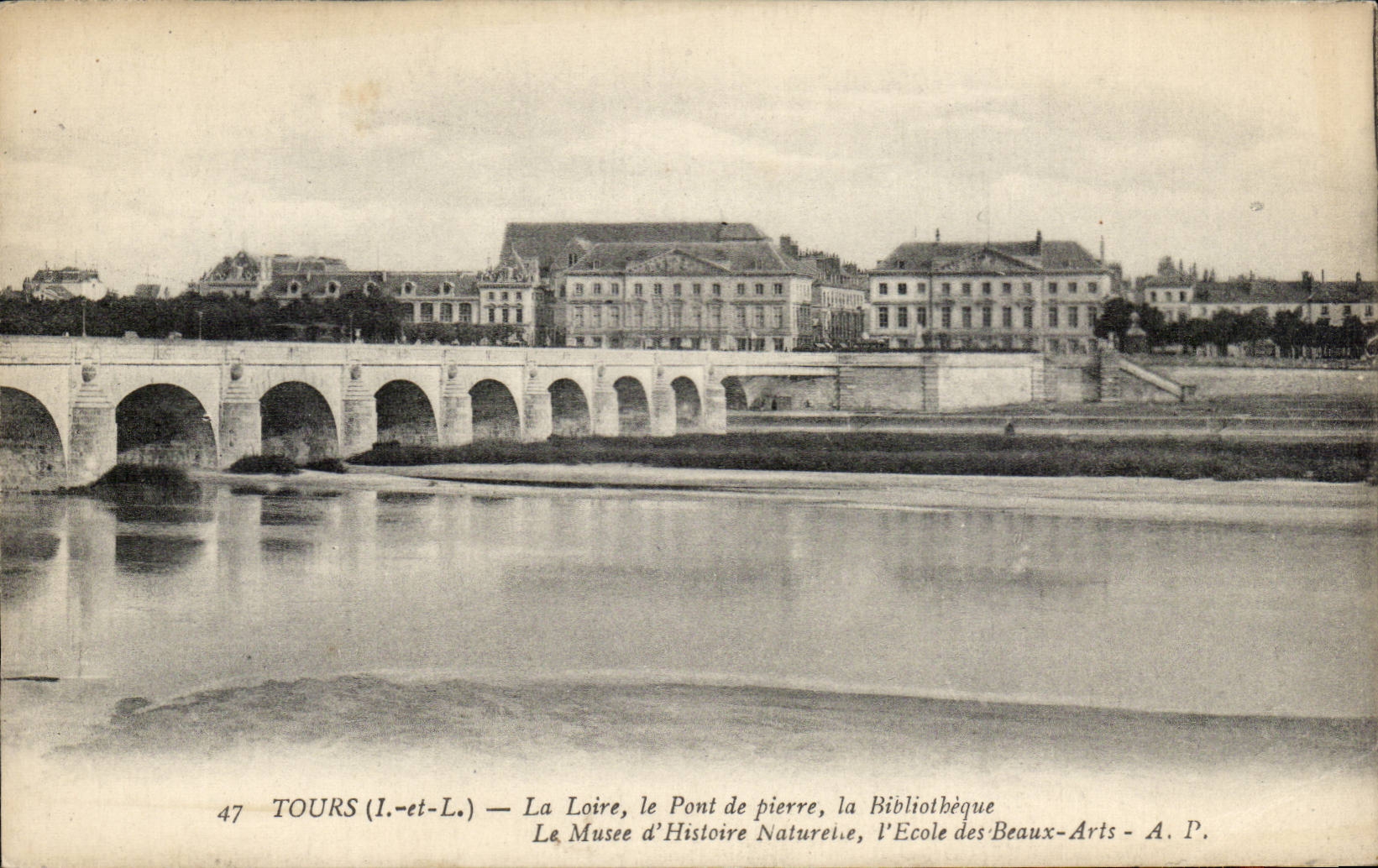 Tours - La Loire le pont de Pierre la bibliotheque library le musee d'histoire naturale - CPA 