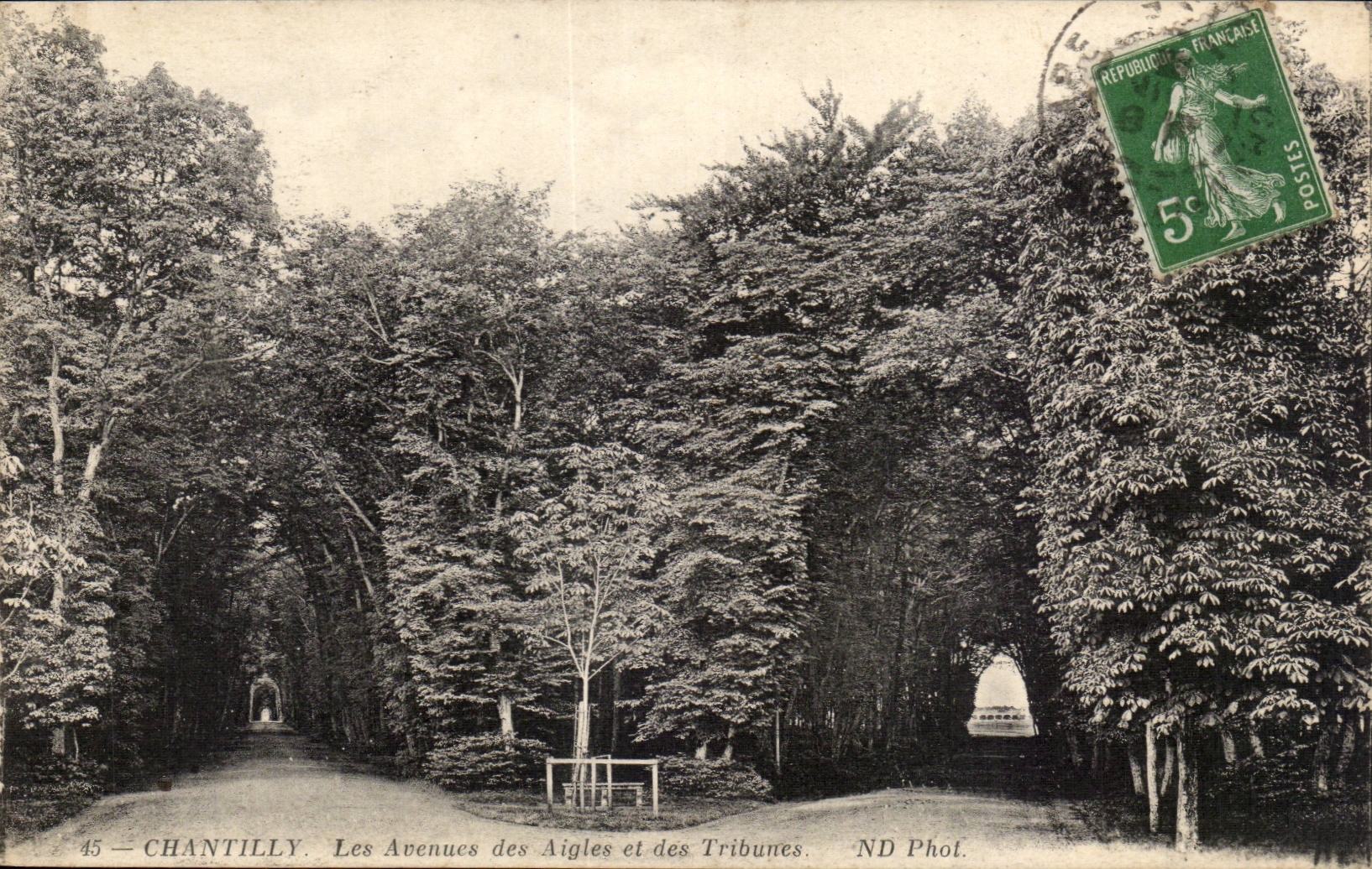 Chantilly — Les Avenues des Aigles et des Tribunes — ND Phol.