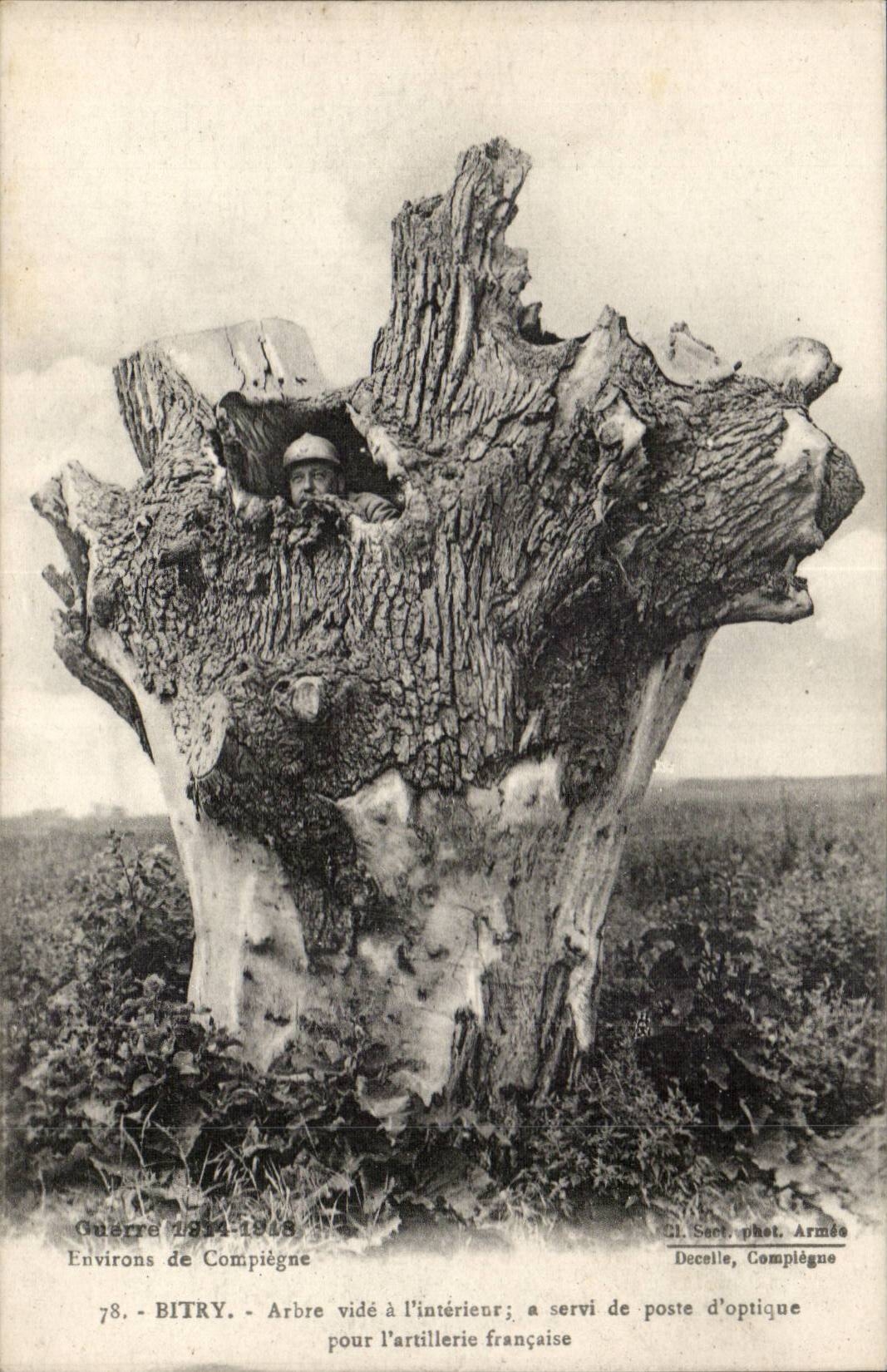 Bitry - Arbre vidé à l'intérieur pour l'artillerie française