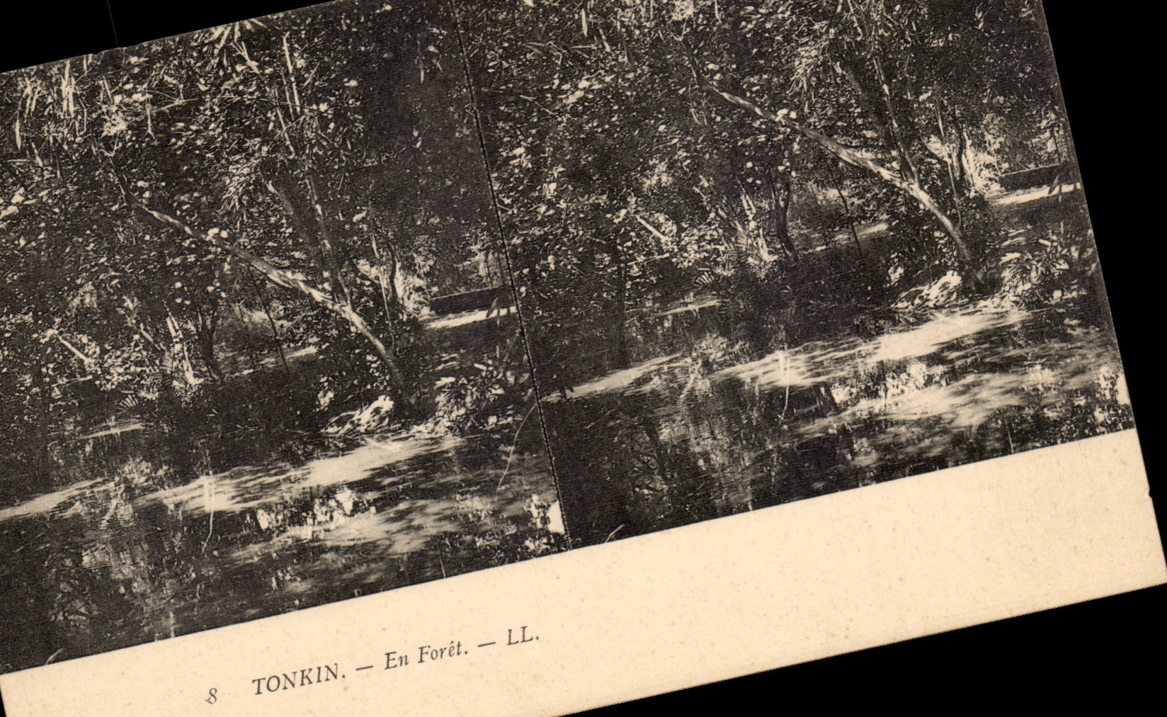 Tonkin — En Forêt — LL.